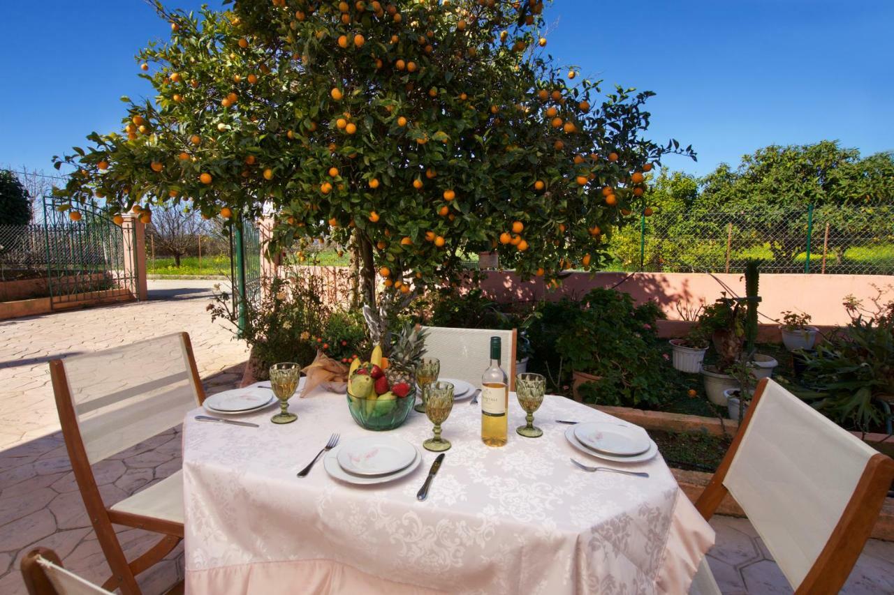 Artemis Superb 2 Bedroom Apartment 700 M Away From The Beach Minia Exterior photo