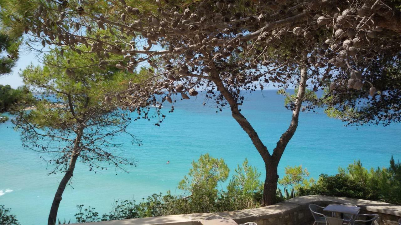Artemis Superb 2 Bedroom Apartment 700 M Away From The Beach Minia Exterior photo