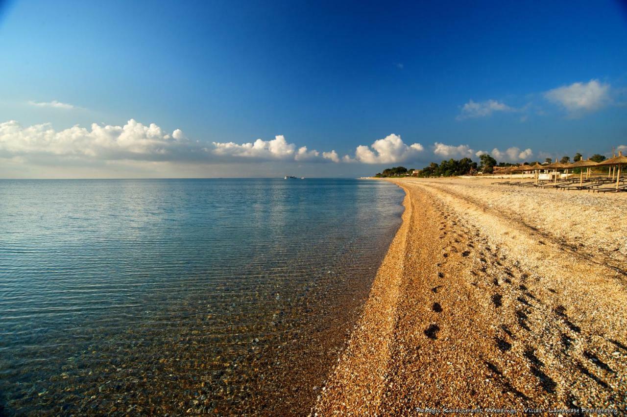 Artemis Superb 2 Bedroom Apartment 700 M Away From The Beach Minia Exterior photo